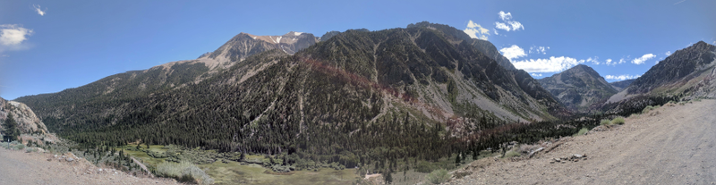 Illustration for article titled Motorcycle Road Trip: Wild Donkeys, Yosemite, and Tahoe